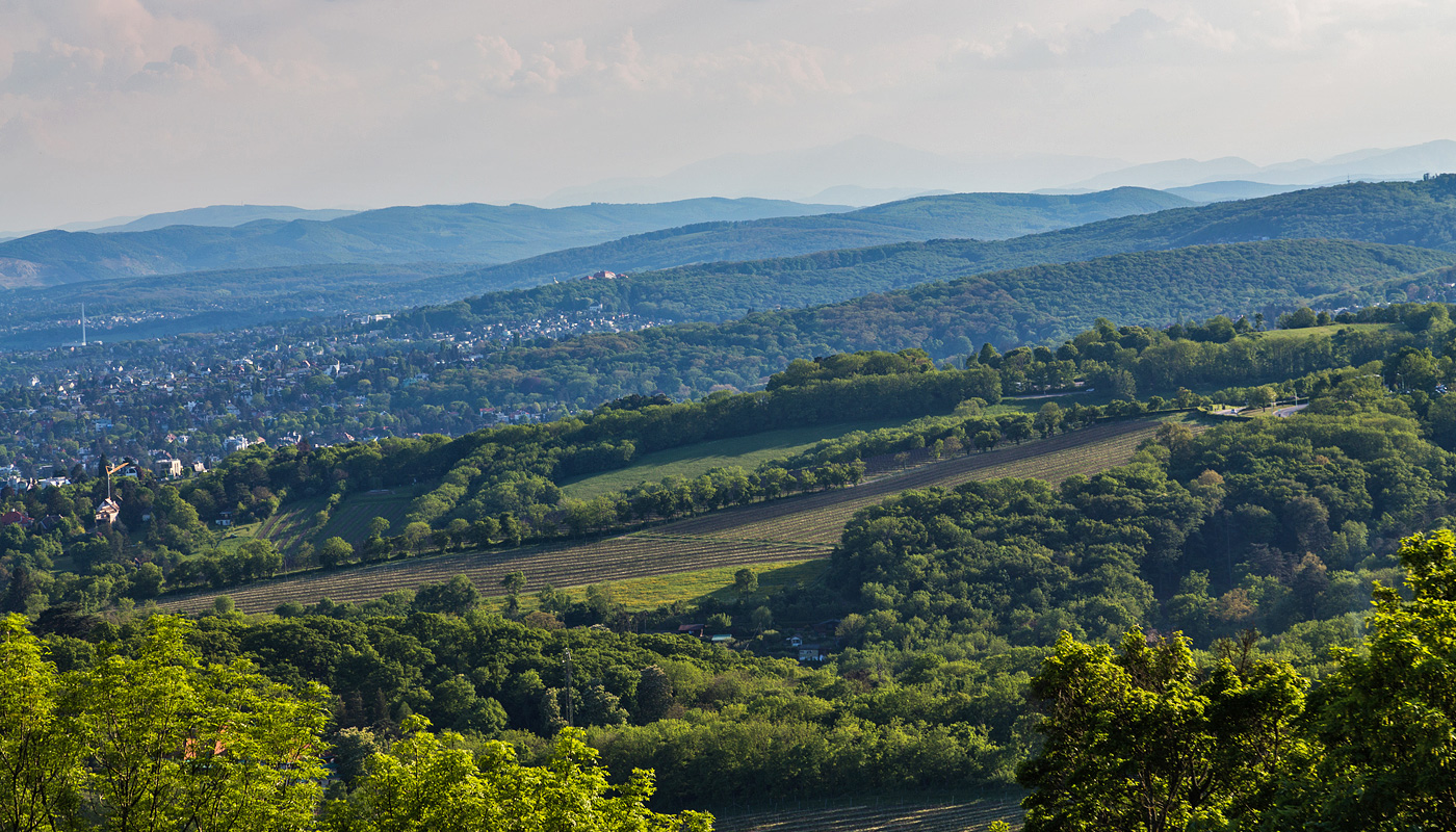 Aktiv im Wienerwald